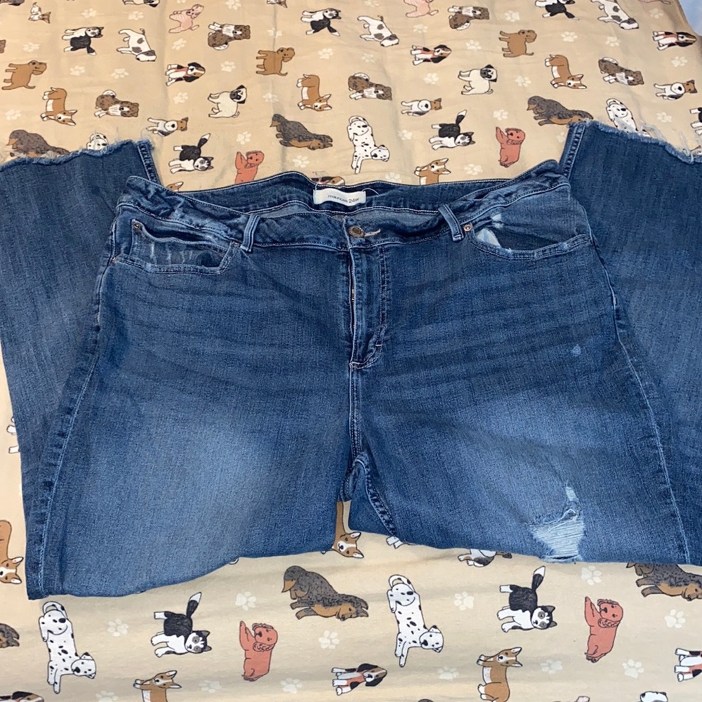 Maurices blue jeans
